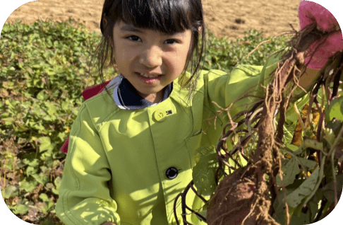 芋ほり遠足